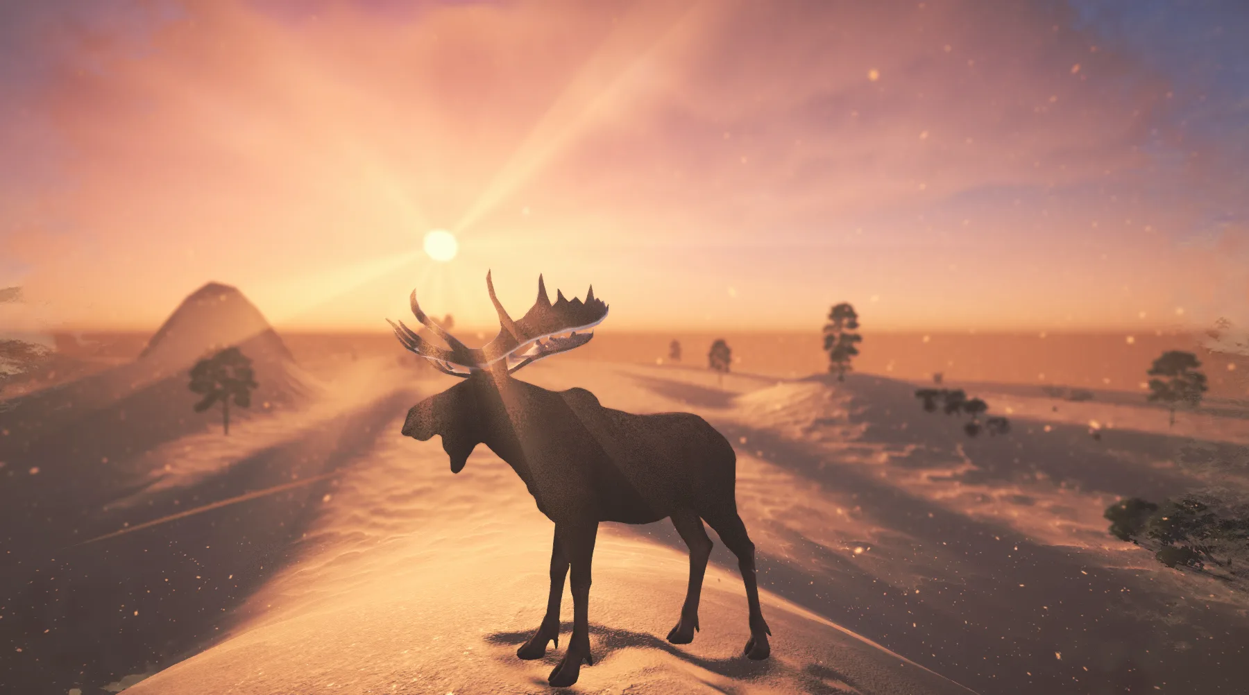 Moose Migration — dusk over the ridge